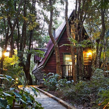 The Mouses House Rainforest Retreat Springbrook Eksteriør bilde