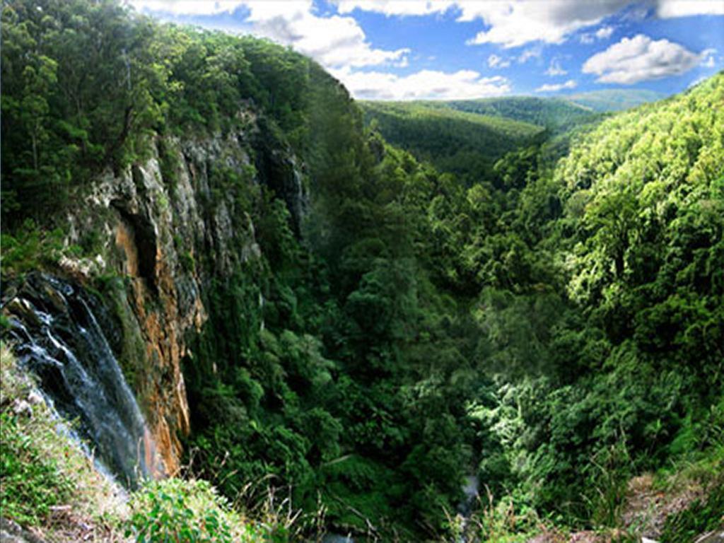The Mouses House Rainforest Retreat Springbrook Eksteriør bilde