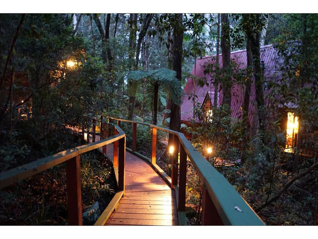 The Mouses House Rainforest Retreat Springbrook Eksteriør bilde