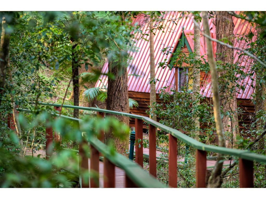 The Mouses House Rainforest Retreat Springbrook Eksteriør bilde