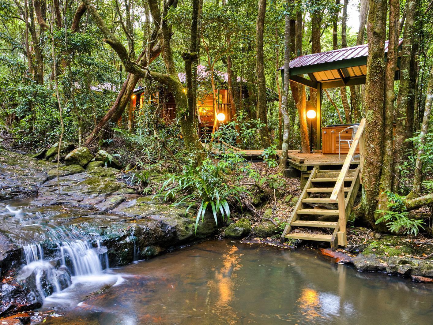 The Mouses House Rainforest Retreat Springbrook Eksteriør bilde