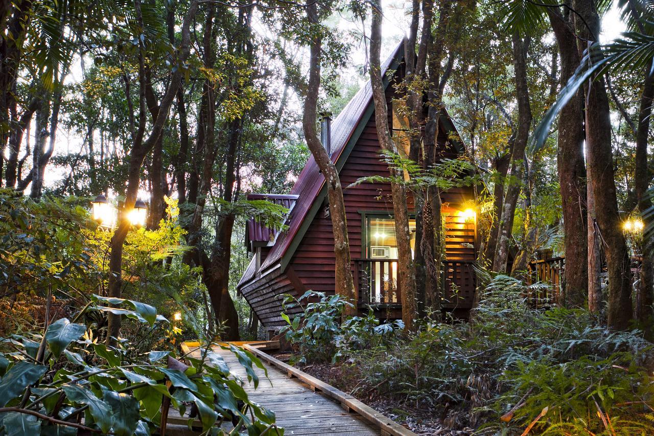 The Mouses House Rainforest Retreat Springbrook Eksteriør bilde